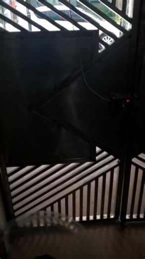 一早上热心港澳同胞人士,就喂街猫。谁说这是不是正能量？在大湾区哪里就有找了这个那么人性的优秀? Feeding my cats! #catsoftiktok