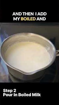 Probiotic Enhanced Yogurt For Gut Health (5 Minute Recipe)