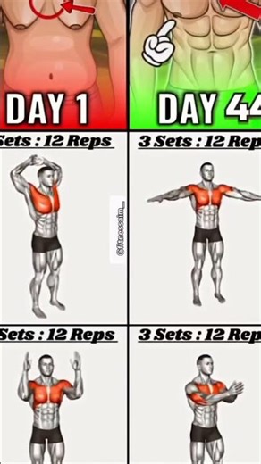 Body building exercise at home video