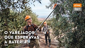Aqui estão os varejadores STIHL que esperava a bateria! 🔋 Os varejadores STIHL SPA 130 e SPA 140 (versão telescópica) têm uma excelente ergonomia, peso leve e um incrível desempenho com motor a bateria. 👉 Saiba mais num Concessionário STIHL ou em https://bit.ly/varejadoresSTIHL | STIHL Portugal