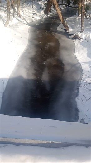 this Brook never freezes except this year