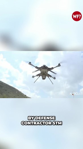 🎥 At The Why Files, we dig into the mysteries—separating 🧠 fact from 🤔 fiction while keeping you entertained! Check out TheWhyFiles.com to find more If you have tips and story ideas send the to @Wheres_Gino the producer of The Why Files ⚠️ Disclaimer: This content is for entertainment purposes only. It explores mysterious, speculative, and historical stories that are not presented as established facts. Viewer discretion is advised. #TheWhyFiles #HeckleFish #Mystery #FactOrFiction #StayCurious