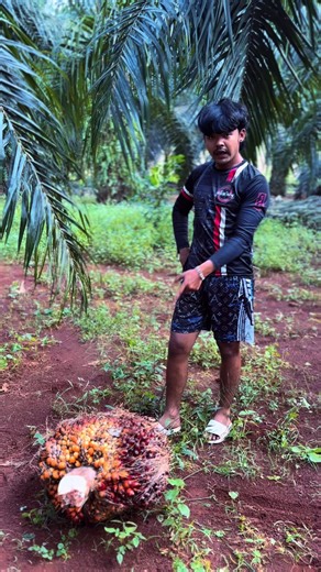 คนดูว่าไง #ขึ้นฟีดเถอะ #เด็กสวนปาล์ม #ขนอม #ทีมงานพี่หลวงไข่