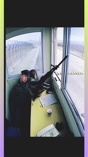 Monkey with AK47 🤣 #shorts#shortsfeed