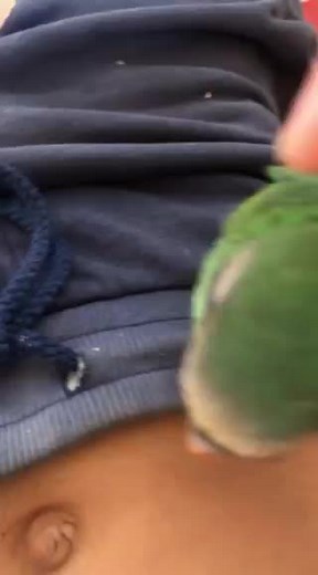 សំលេង គួរអោយខ្នាញ់ ដូចកូនក្មេង 😅😅❤️❤️