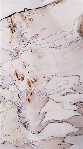 two version and rakurs