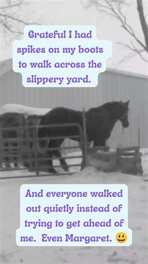 Grateful I had spikes on my boots to walk across the slippery yard...