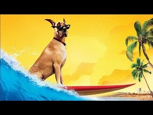 Marmaduke Full Movie HD Facts And Story | Owen Wilson | Lee Pace
