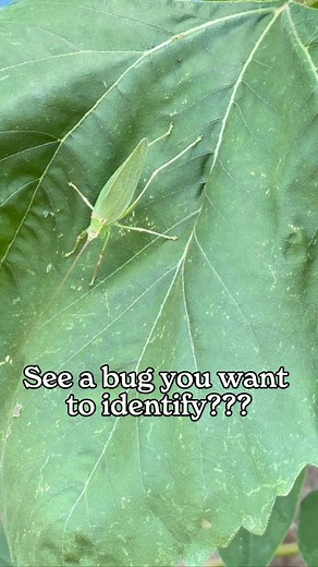 者 Not sure what bug is lurking in your garden? Let Growbot help!...