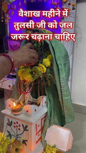 In the month of Vaishakh, definitely offer water to Tulsi ji #upay #bhakti #tulsiji #reels #trend...