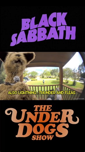 170K views · 4.8K reactions | Lock up your Cats! The underdogs Show unmuzzled is coming to chapel of Chapel, May 24 and 25 see Internet sensations Ludes and Benzo and all eight dogs on stage destroying your favorite songs in what critics have called “weird Al with fur “ get your tickets now they’re selling fast #chapeloffchapel￼ | The Underdogs Show | Facebook