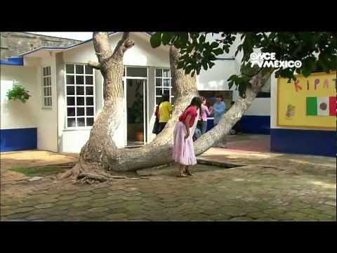 EL TALENTO DE CRISTINA - Capítulo 01 de la serie infantil Kipatla - Con lengua de señas mexicana