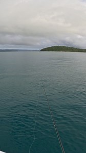 The Paddle Bait taking on a beaut Grassy 🙌 This versatile lure is perfect for all your expeditions.. Grab yours today! | Chasebaits Australia