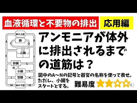 中学理科「血液循環と不要物の排出」アンモニアが尿素になって排出されるまでの道筋