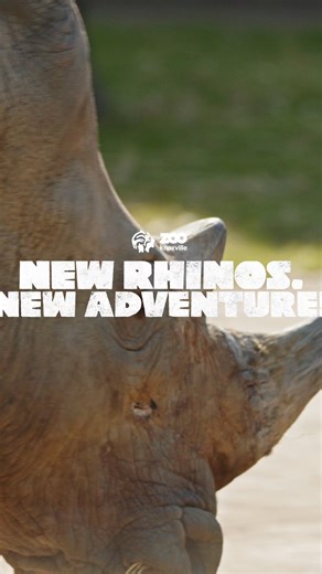 Zoo Knoxville on Reels