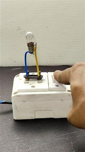 220V Electricity vs. Bulb – Will It Survive?