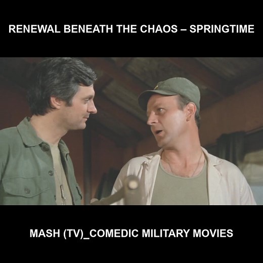 Renewal beneath the chaos – Springtime - Mash (TV)_Comedic military movies | Mash 4077 - Best Of Best