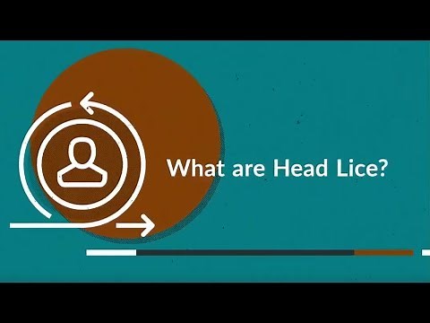 What are Head Lice? (Treatment, Symptoms, Causes, Prevention)