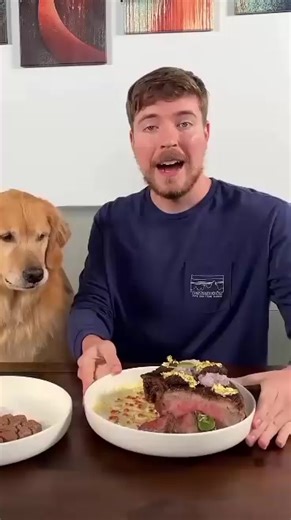 Glad she ate the cheaper steak #beastgames #mrbeast #dogs