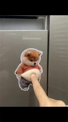 Cute protector stickers. ✅ Chubby Shiba Silicone Sticker Protector ( # 3102 )