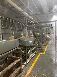 [Hot Item] Poultry Slaughter House Machine Halal Complete Poultry Slaughterhouse /Slaughter Processing Equipment/Chicken