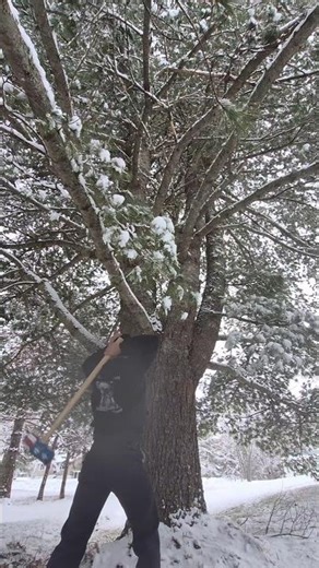 Snow Hammer Swings Under the Pines | Precision Under Load