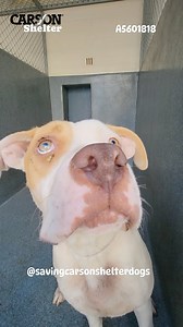 90 reactions · 59 shares |  Returned to Owner  A5601818 ✰ Olive...