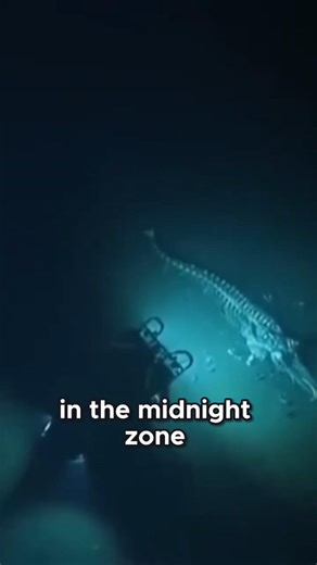 Abyssal Plains The Ocean's Alien Mud World and Its Giant Inhabitants! #shorts