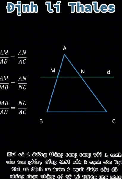 Định lý Thales: Hiểu và Ứng Dụng