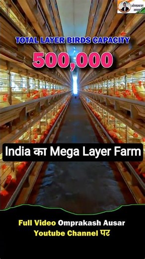 👆Full video ऊपर ||5 लाख मुर्गियों का Mega Poultry Farm 😲 Gartech Automatic System