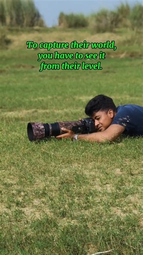 To capture their world, you have to see it from their level.🌿🐦💝 Nikon D7500 with Nikkor 200-500mm #riyajul_wildlife #riyajul_photography #naturelovers #reelkarofeelkaro #reelitfeelit #birdphotography #birdwatching #wildlifephotography #wildlifephotographer #birdslover @highlight | Riyajul Islam