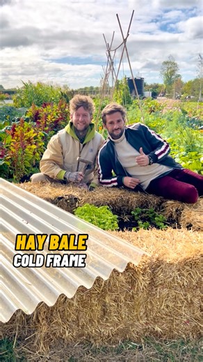 Jamie Walton | Nettles & Petals on Instagram: "DIY Hay/Straw Bale Cold Frame 🌾❄️ A great way to extend your outdoor growing season is by making this simple hay bale cold frame. 😊🌾 It can be scaled up or down depending on your growing space too. If you have a large vegetable garden then simply add more bales, or if you only have a balcony garden or yard, take some away. Even though they do differ, both hay or straw can be used for this, and as I only had a few of each we used both for this one