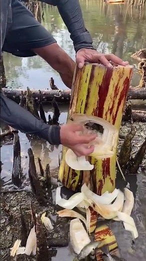 This is a Strange Fish, Why Did It Get Into a Banana? 🍌😱