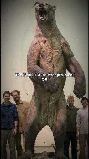 Ice Age Battle: Bear vs. Lion