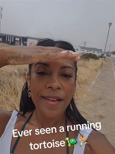 Tortoise Running: A Unique St. Helena Experience