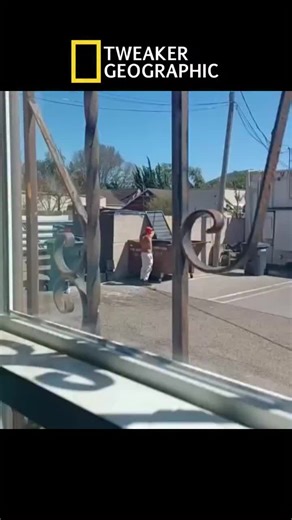 Tweaker Geographic Episode 1 #tweaker #tweakers #tweakergeographic #viral #usa