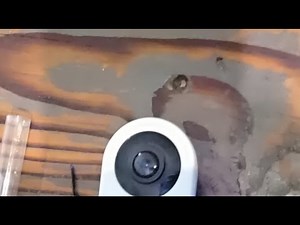 simplisafe ring doorbell battery replacement part 2