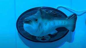 Big Mouth Billy Bass now talks back with AI