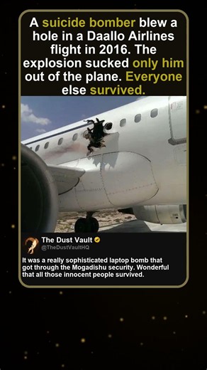 Daallo Airlines Bomber Blown Out of Plane in 2016 Explosion