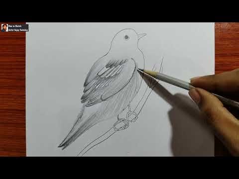 Drawing Classes for Beginners | How to draw bird | Step by step easy bird drawing | DAY 8 ছবি আঁকা
