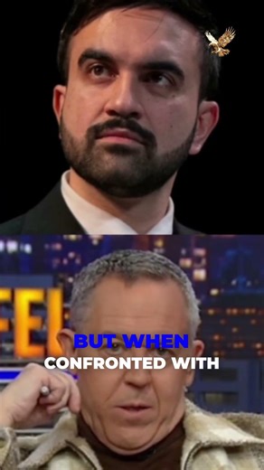 NYC's Bizarre Rulebook: Vote Easy, Shovel Dog Pee Harder?