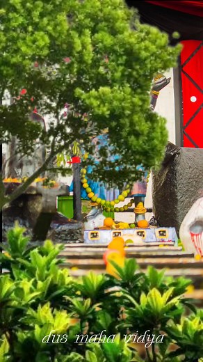 dus maha Vidya ❤️🖤 #kalimaa #mahashivratri #mru🇲🇺