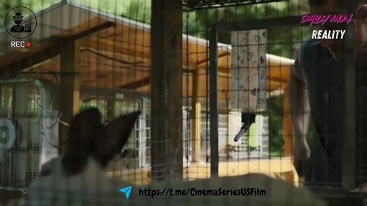 Power Book IV: Force - Season 3 Episode 10 - BEGINNING OF THE END