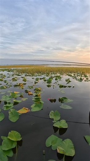 48K views · 655 reactions | The Fish Slayers #fishing #shellcracker #FloridaFishing | Branden Scott | Facebook