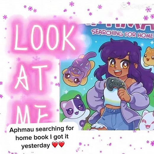 I just got Aphmau searching for home book yesterday. I can’t wait to read it. ￼