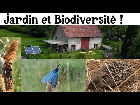 Visite du Jardin et la Biodiversité !