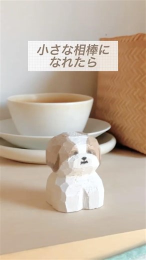 思いを巡らせて＃shorts