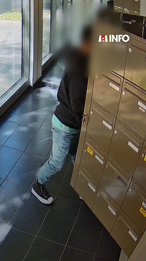 📦 En pleine préparation de Noël, les vols de colis deviennent un véritable fléau. Près de 200 millions colis auront été livrés entre novembre et décembre par La Poste et les techniques des voleurs se diversifient. Certains immeubles s'organisent pour enrayer ce phénomène. 🎥 Brieuc Gorchi 🎙️ Augustin Arnal | M6 Info