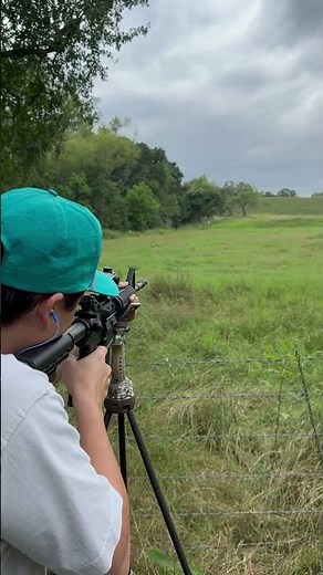 Bushmaster AR-15 E2S @ 230 Yards
