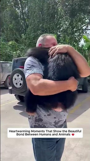 Heartwarming Moments Between Humans and Animals...